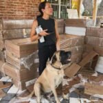 Joanna Gaines